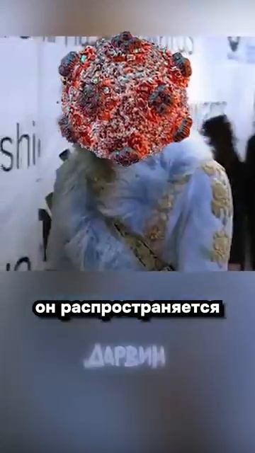 Че там по Хантавирусу (часть 3)