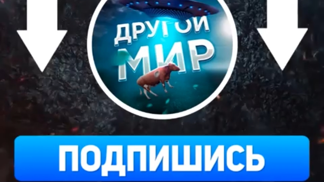 🐊Наконец-то в МАКС появился канал 👉 ДРУГОЙ МИР🎇