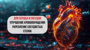 Матрица для сердца и сосудов ❤️ — восстановление сердечного ритма, укрепление сосудов
