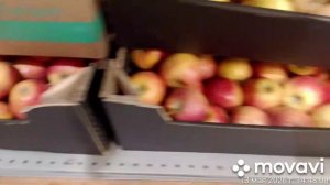 Выгодные цены на продукты в магазинах города Красногорска
