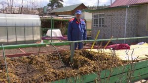 « Во саду ли, в огороде» ( Выпуск от 08.05.2026)