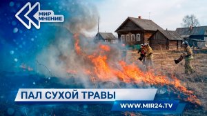 Сжигание травы под запретом. Чем оно опасно и что ждет нарушителей?