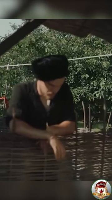 Без вины виноватая...