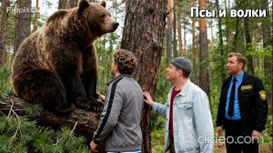 Псы и волки сериал 10 серия 2026 год смотреть онлайн что будет в серии, обзор  серии