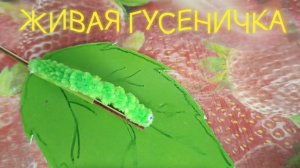 Полезный урок: «Живая гусеничка»