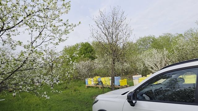 Пригрел змею смотреть онлайн