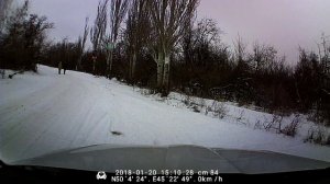 2018_01_20_На лыжах в питомнике. Камышин.