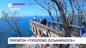 В Приморье благоустройство «Тропы Осьминога» выходит на финишную прямую