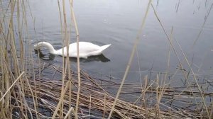 Город Красный Луч ЛНР Донбасс l Люблю свою Родину #шаман#РОССИЯ