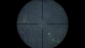 АТАКА С НЕБА! История БЕЗУМНОГО рейда базы на машине – DayZ// ЧАСТЬ 2 ИЗ 2