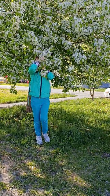 Просто  весна просто яблоня цветёт