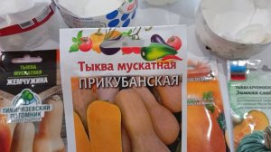 Семена тыквы, кабачков , посею второй раз.