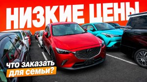 КУРС ПАДАЕТ — ЦЕНЫ ТОЖЕ! Что сейчас заказывают из Японии для семьи?