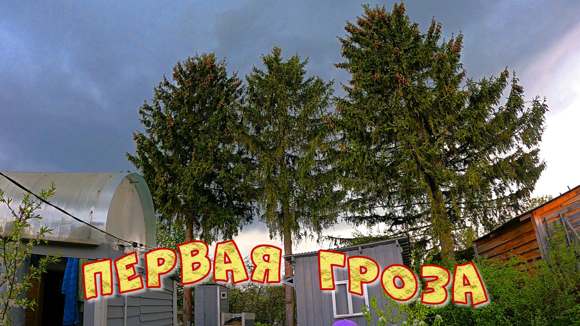 ПЕРВАЯ ГРОЗА В ЭТОМ СЕЗОНЕ
