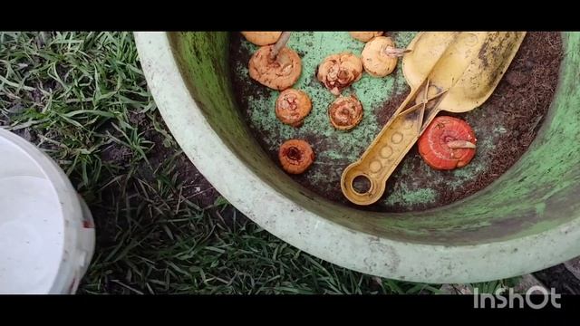 Весенние работы/уборка в доме /13.05.2026/как живут в русской деревне