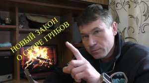 «НОВЫЙ ЗАКОН О ГРИБАХ: ПРАВДА ЛИ, ЧТО НУЖНА ПУТЁВКА?» Нас пугают путёвками — где миф, а где штраф)