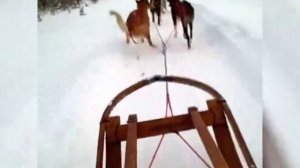 Когда двигатель работает с перебоями