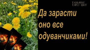 Да зарасти оно все одуванчиками!🔥 🔮 🔥 #таро#russian#tarot#gadanie#онлайн#расклады