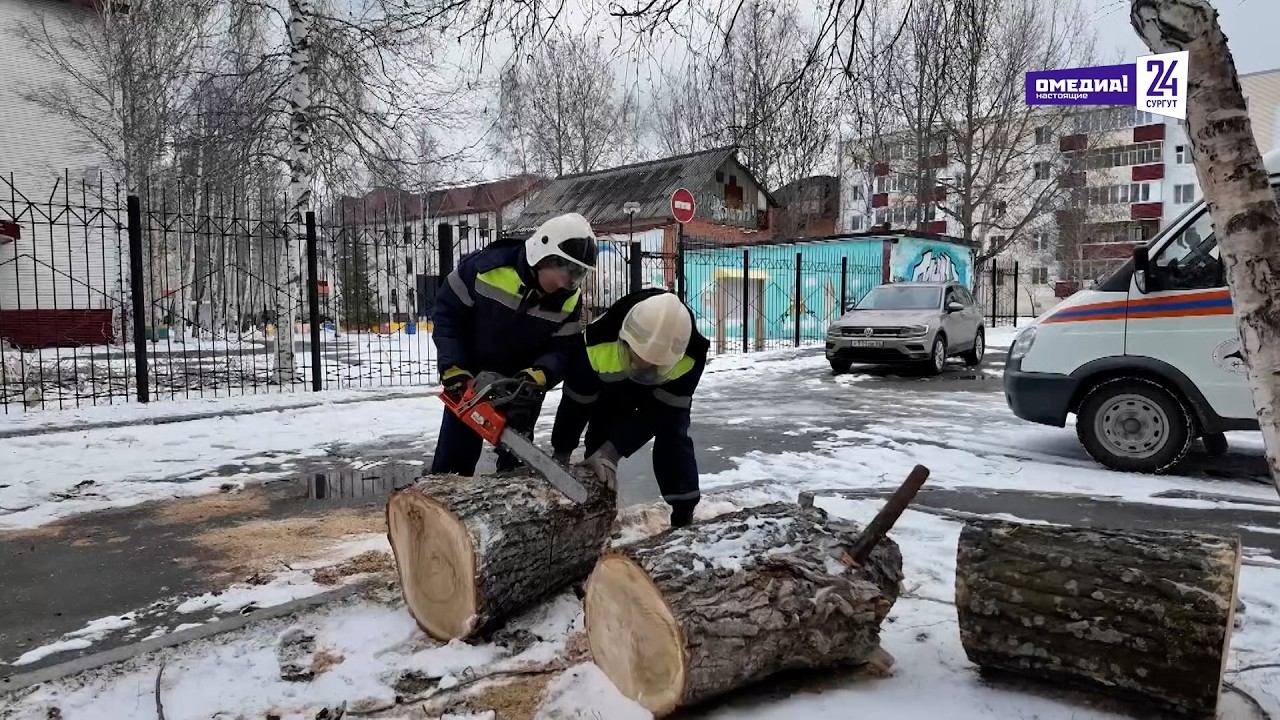 Что произошло.13.05.26. Последствия снежного шторма. Как Югра справилась с циклоном?