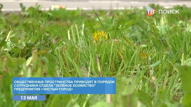 Сотрудники "Чистого города" приступили к покосу травы