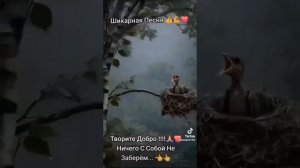 Творите добро...