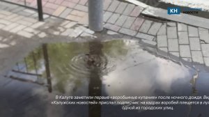 Калужский воробей открыл сезон водных процедур