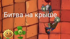 Битва на крыше