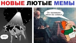 Лютые шортсы. Мультперсонажи на психотерапии