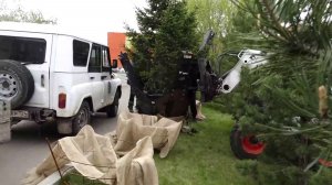 ОЗЕЛЕНИТЕЛИ ПРИСТУПИЛИ К ПЕРЕСАДКЕ ЗЕЛЁНЫХ НАСАЖДЕНИЙ НА АВИАТОРОВ