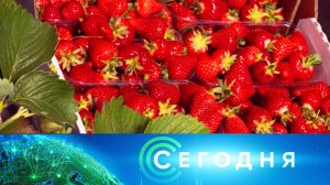 «Сегодня»: 13 мая 2026 года. 16:00 | Выпуск новостей | Новости НТВ