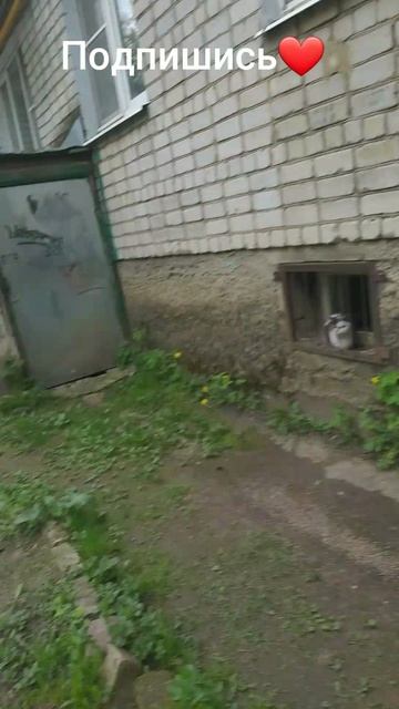 после школы смотреть онлайн