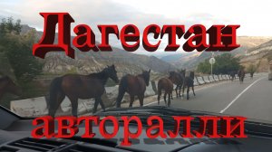 Дагестан, авторалли, 25 лошадей против 250 л.с.# Dagestan, rally, 25 horses versus 250 hp.