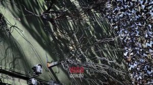 «Солнцепёк»: 4 тысячи квадратов страха
