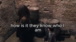 Harry visits diagonal alley with subtitles