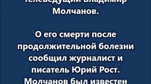 Умер российский журналист и телеведущий Владимир Молчанов