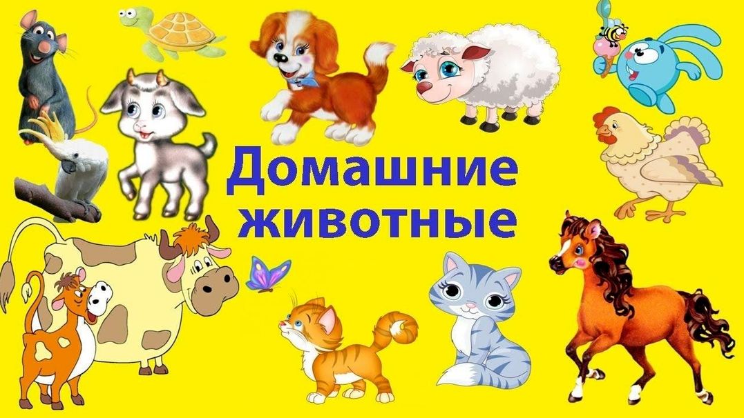 Домашние животные для детей/Звуки животных/Учим Названия животных/Развивающие мультики для детей