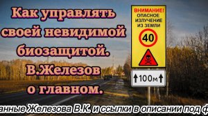 Как управлять своей невидимой биозащитой. В.Железов о главном.
