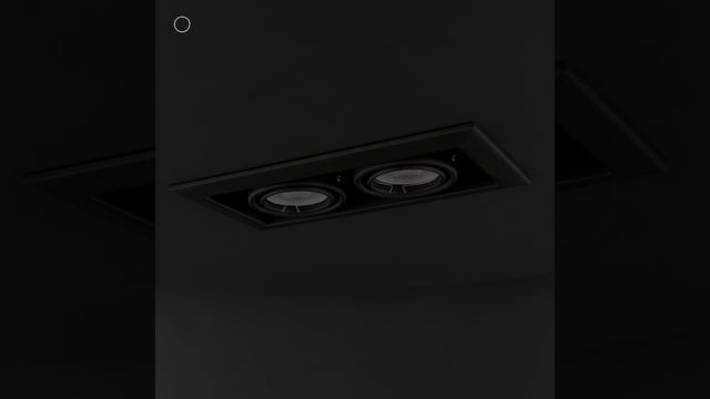 Светильник Maytoni Metal Modern DL008-2-02-B смотреть онлайн