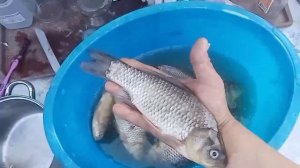 не большой улов
