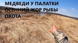 МЕДВЕДЬ НАЛОЖИЛ КУЧУ У ПАЛАТКИ! Попали на БЕШЕНЫЙ ЖОР рыбы. Охота и рыбалка на Амуре