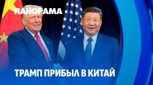 Трамп в Китае: что будут решать лидеры США и Китая на переговорах? Панорама