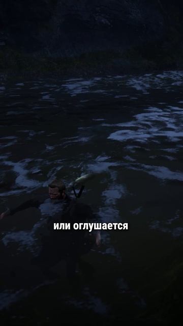Рыба у водопада в RDR 2