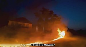 🔴Хорящая свинотряска.🔴