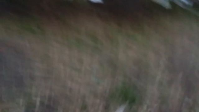 1-е видео прятки
