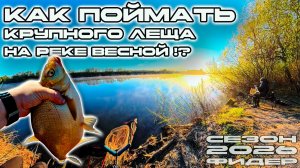 КАК ПОЙМАТЬ КРУПНОГО ЛЕЩА НА КЕКЕ ВЕСНОЙ. РЫБАЛКА НА ФИДЕР