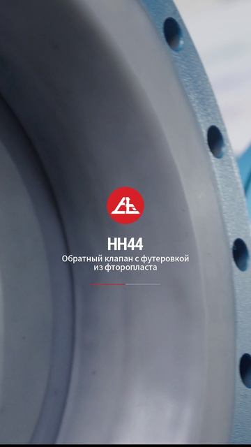 HH44 Обратный клапан с фторпластовой футеровкой-SOY