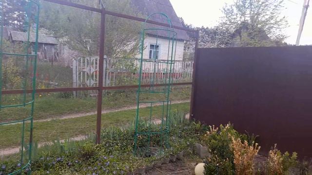 БОРЬБА С СОРНЯКАМИ НА ДАЧЕ ПРОДОЛЖАЕТСЯ...
