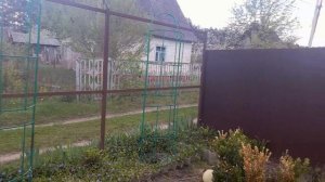 БОРЬБА С СОРНЯКАМИ НА ДАЧЕ ПРОДОЛЖАЕТСЯ...