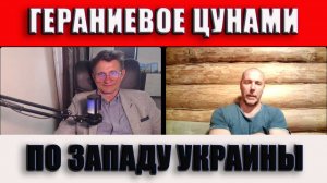 Цунами из гераней по Западной Украине