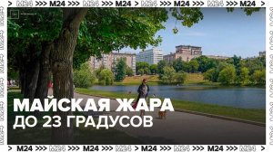 К концу недели в Москве воздух прогреется до 25 градусов - Москва 24